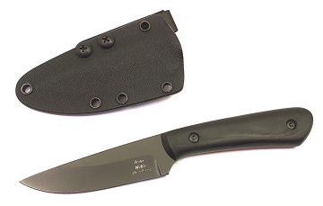 Royal WRASSE Skeliiiton